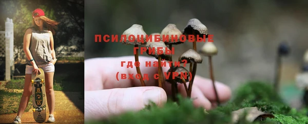 не бодяженный Армянск