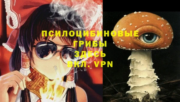 не бодяженный Армянск