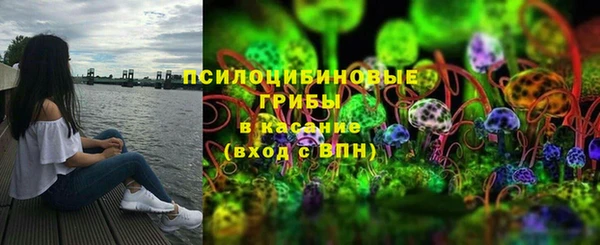 соль ск Аркадак