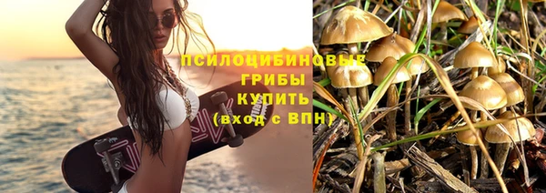 соль ск Аркадак